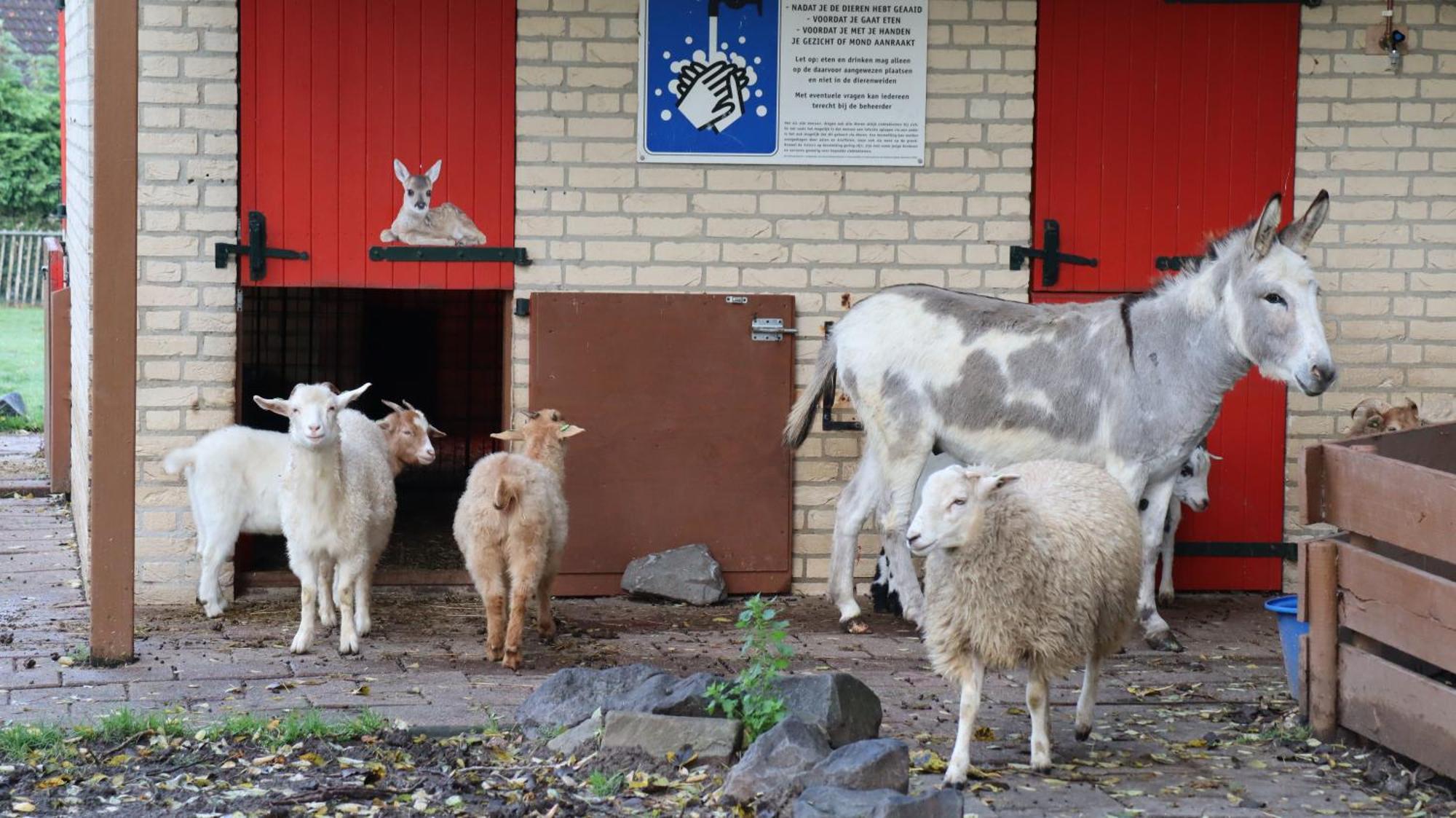 Het Huys Ewijk Mooi Luxe En Een Laadpaal Buitenkant foto