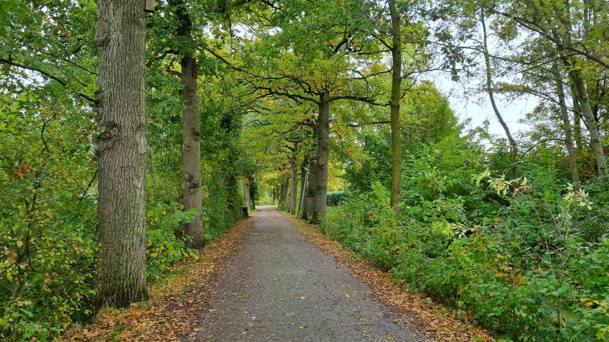 Het Huys Ewijk Mooi Luxe En Een Laadpaal Buitenkant foto